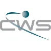 Computer World Services Corp. (CWS) Computer World Services Corp. (CWS)