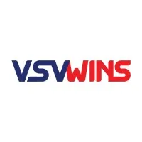 VSV WINS, INC VSV WINS, INC
