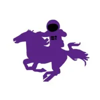 Western Engineering Satellite Team