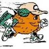 Orange Courier, Inc. Orange Courier, Inc.