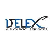 DELEX AIR CARGO LLC