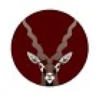 Antelopus Selan Energy Limited