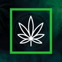 Kush Creative