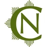 Noell Consulting Group