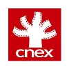 Cnex Foundation Cnex Foundation