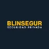 BLINSEGUR