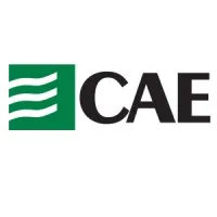 Advanced CAE Group Advanced CAE Group