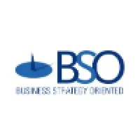 Business Strategy Oriented de Mexico S de RL de CV