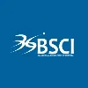 Blanco Silva Consultoría Informática - BSCI - Blanco Silva Consultoría Informática - BSCI -