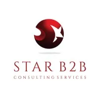 Star B2B Consulting Services LLC