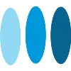 The IT Firm The IT Firm