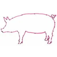 Trufflepig Travel Inc.