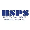 HS POWER SPRING MÉXICO SA DE CV HS POWER SPRING MÉXICO SA DE CV