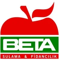 Beta Fidan