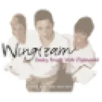 Wingteam LLC - Event Staff/Travel Staff