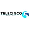 Telecinco Media Holdings