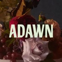 Adawn Dental Studio