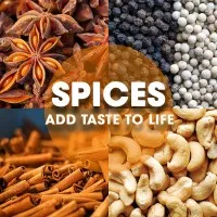 Phalco Vietnam Spices JSC