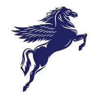 Pegaso Energy Services, LLC