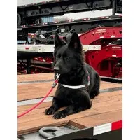 Tri-State Trailer Sales & TSTL