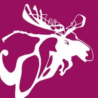 Johanne Aubin Design