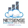 Netsense Business Solutions Asia Netsense Business Solutions Asia