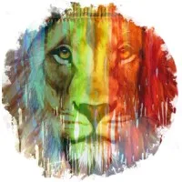 Viewry Services LLP Viewry Services LLP