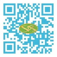 Siddique Mustafa & Sons Group