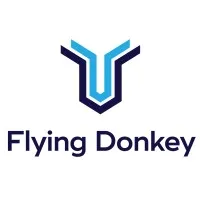 Flying Donkey IT