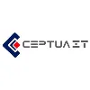 CEPTUA IT INC CEPTUA IT INC