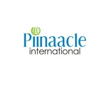 Piinaacle International