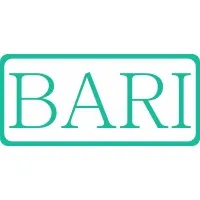 BARI Engineering Services