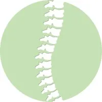 Noralign - Functional Rehabilitation