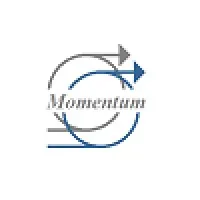 Momentum FPD Services Corp. Momentum FPD Services Corp.