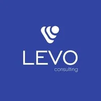 LEVO Consulting