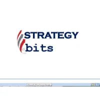STRATEGYbits