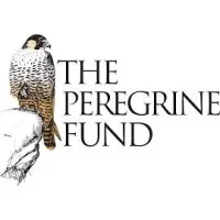 The Peregrine Fund World Center for Birds of Prey