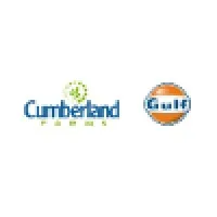 The Cumberland Gulf Group