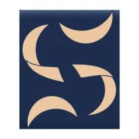 Serensynth Labs Pvt Ltd