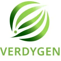 Verdygen