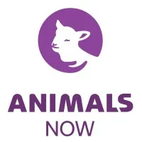 Animals Now (formerly Anonymous for Animal Rights) Animals Now (formerly Anonymous for Animal Rights)