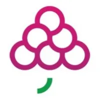 GrapesTech Solutions Pvt. Ltd.