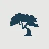 AV Financial Group