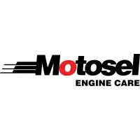 Motosel Industrial Group Inc.