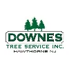 Downes Tree Service