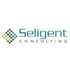Seligent Consulting Private Limited Seligent Consulting Private Limited