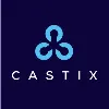 Castix LLC Castix LLC