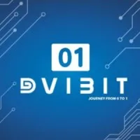 DVIBIT DVIBIT