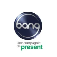 Bang Industries