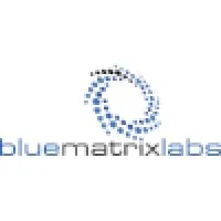 Blue Matrix Labs, LLC